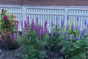 11893 Wyandot Cir, Westminster, CO 80234 - Photo 46