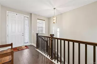 6650 Mentha Dr, Castle Rock, CO 80108 - Photo 18