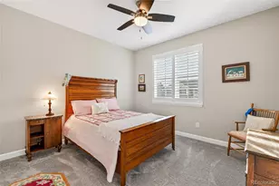 6650 Mentha Dr, Castle Rock, CO 80108 - Photo 20