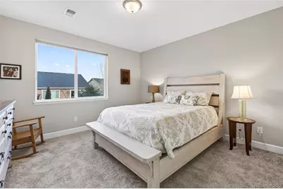 6650 Mentha Drive, Castle Rock, CO 80108 - Photo 32