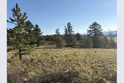 100 Park Road, Hartsel, CO 80449 - Photo 8