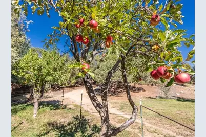 548 Shamrock Lane, Howard, CO 81233 - Photo 16
