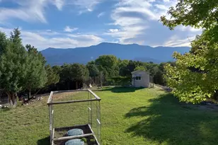 548 Shamrock Ln, Howard, CO 81233 - Photo 30