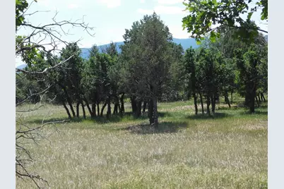 5980 Country Club Drive, Larkspur, CO 80118 - Photo 44