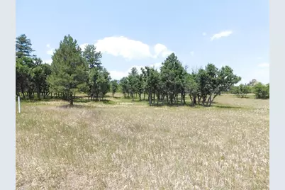 5980 Country Club Drive, Larkspur, CO 80118 - Photo 28