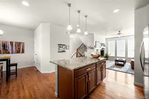 9225 Rockhurst St, Highlands Ranch, CO 80129 - Photo 12