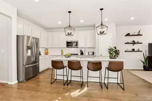 7184 Othello St, Castle Pines, CO 80108 - Photo 8