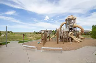 14317 Double Dutch Loop, Parker, CO 80134 - Photo 40