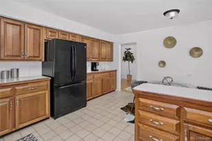 3124 S Columbine St, Denver, CO 80210 - Photo 10