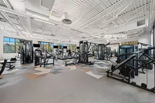 8627 Gold Peak Pl, Highlands Ranch, CO 80130 - Photo 26