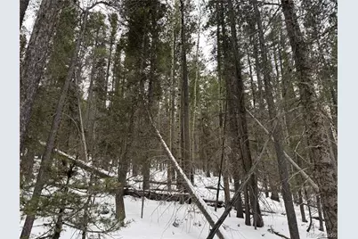 Lot 2806 Moir Drive, Fort Garland, CO 81133 - Photo 6