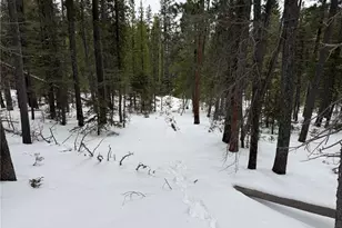 Lot 2806 Moir Dr, Fort Garland, CO 81133 - Photo 1