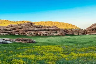 49 Buckthorn Dr, Littleton, CO 80127 - Photo 46