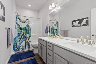 265 Hillspire Dr, Windsor, CO 80550 - Photo 22