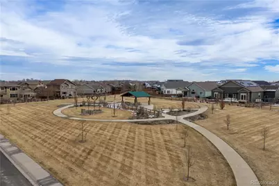 265 Hillspire Drive, Windsor, CO 80550 - Photo 42