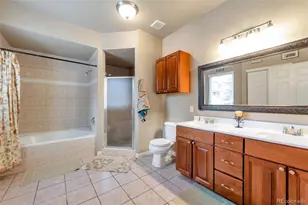 6494 Silver Mesa Dr, Highlands Ranch, CO 80130 - Photo 16