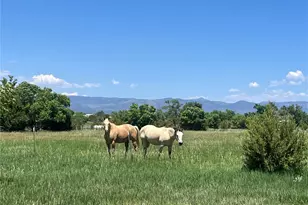 988 P St, Penrose, CO 81240 - Photo 34
