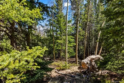 270 Co Rd 667, Fairplay, CO 80440 - Photo 24