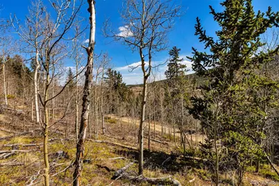 270 Co Rd 667, Fairplay, CO 80440 - Photo 46