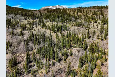270 Co Rd 667, Fairplay, CO 80440 - Photo 16