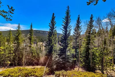 270 Co Rd 667, Fairplay, CO 80440 - Photo 30