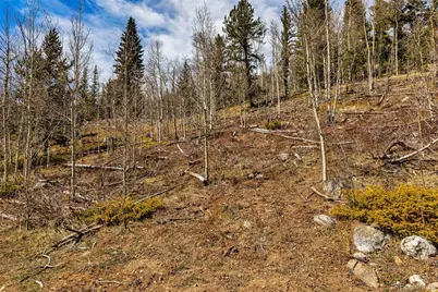 270 Co Rd 667, Fairplay, CO 80440 - Photo 42