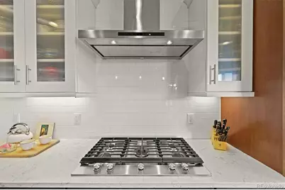 493 Meadowleaf Lane, Highlands Ranch, CO 80126 - Photo 10