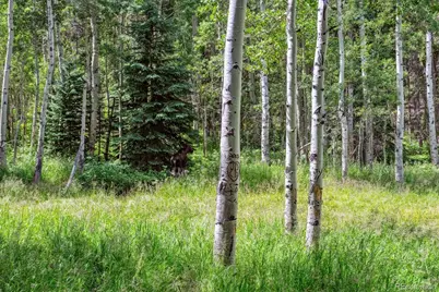 306 Olde Carter Lake Road, Golden, CO 80403 - Photo 16