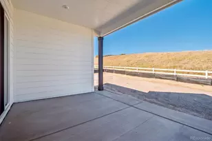 1645 Green Fern Pt, Castle Rock, CO 80104 - Photo 34