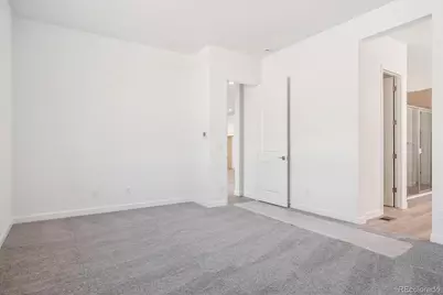 1645 Green Fern Point, Castle Rock, CO 80104 - Photo 20