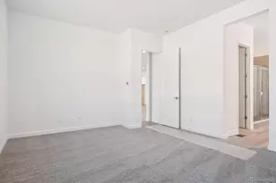 1645 Green Fern Pt, Castle Rock, CO 80104 - Photo 20