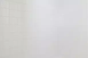 1645 Green Fern Pt, Castle Rock, CO 80104 - Photo 12