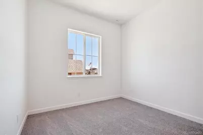 1645 Green Fern Point, Castle Rock, CO 80104 - Photo 14