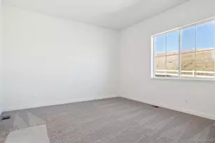 1645 Green Fern Pt, Castle Rock, CO 80104 - Photo 18