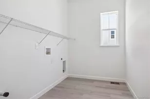 1645 Green Fern Pt, Castle Rock, CO 80104 - Photo 16