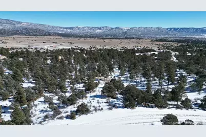 30110 Princeton Hills, Buena Vista, CO 81211 - Photo 24