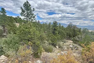 30110 Princeton Hills, Buena Vista, CO 81211 - Photo 1