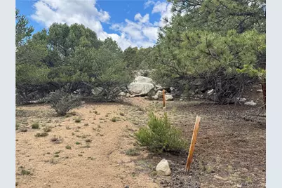 30110 Princeton Hills, Buena Vista, CO 81211 - Photo 4