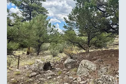 30110 Princeton Hills, Buena Vista, CO 81211 - Photo 6