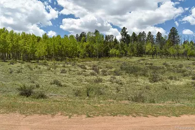 130 Rock Drive, Lake George, CO 80827 - Photo 18