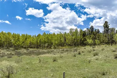 130 Rock Drive, Lake George, CO 80827 - Photo 16