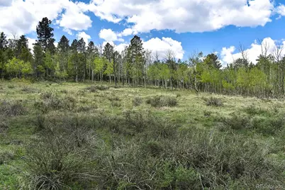 130 Rock Drive, Lake George, CO 80827 - Photo 4