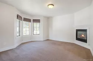 370 N Oak St, Alma, CO 80420 - Photo 6