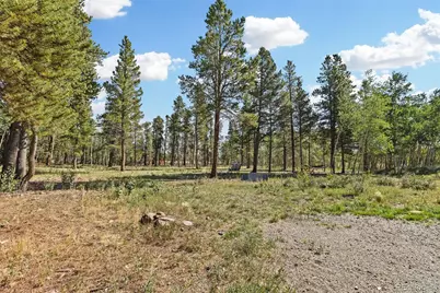 139 Bluestem Court, Fairplay, CO 80440 - Photo 42