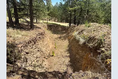 795 Russell Gulch Road, Central City, CO 80427 - Photo 14