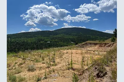 795 Russell Gulch Road, Central City, CO 80427 - Photo 2