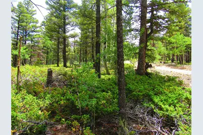 Lot 6082 Stella Road Road, San Luis, CO 81152 - Photo 6