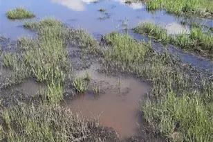 51781 Co Rd X, Saguache, CO 81149 - Photo 42