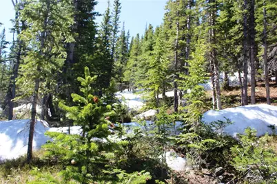 19420 Kingston Peak Road, Black Hawk, CO 80422 - Photo 36