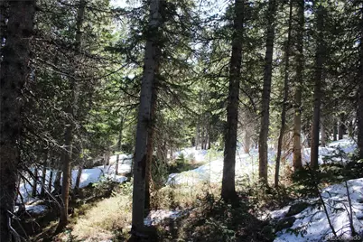 19420 Kingston Peak Road, Black Hawk, CO 80422 - Photo 26